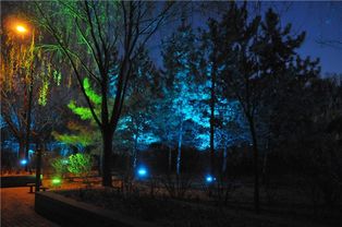 城市亮化工程之公園景觀照明設計